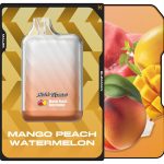 Malek El Zaman Disposable 10000 Puffs Mango Peach Watermelon - ملك الزمان ديسبوزابل مانجو خوخ بطيخ