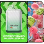 Malek El Zaman Disposable 10000 Puffs Watermelon Bubblegum - ملك الزمان ديسبوزابل لبان بطيخ