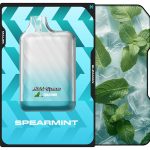 Malek El Zaman Disposable 10000 Puffs Spearmint - ملك الزمان ديسبوزابل نعناع مثلج