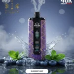 Al fakher Mega Max 40k Disposable blueberry mint \ بلوبيري نعناع
