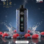 Al fakher Mega Max 40k Disposable blueberry rasberry \ بلوبيري راسبيري